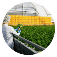 Industria Agroquímica